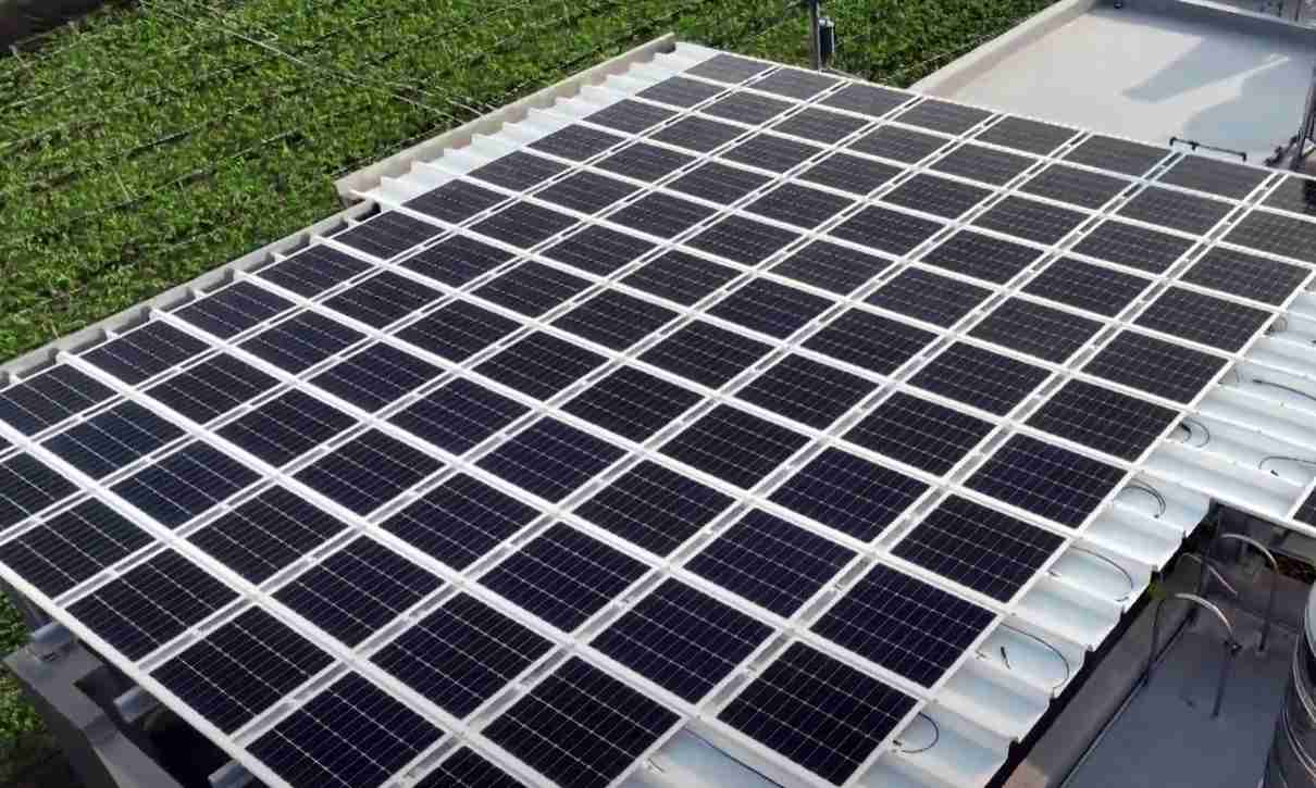 NG大舞台SunSteel光电浪板升级双玻结构，，，，以提升机械负载强度及气候耐候度，，，可广泛运用于多元场域